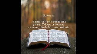 Mateus 12