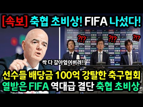 [유튜브] 열받은 FIFA 축구협회 물갈이