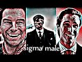 Sigma Male Attitude Status No Girlfriend Only Success Motivation Shorts Viral