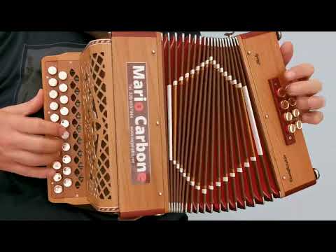 8 Bassi - TARANTELLA I DU CASINU - Tarantella del casino - Brano - Organetto - Cecè Barretta