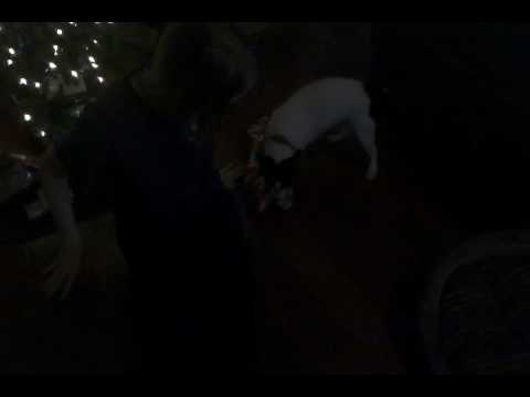 Thomas opening Christmas present - 2013