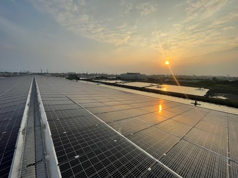光電蓋了，誰會養魚？光電屋頂型室內養殖調查報告