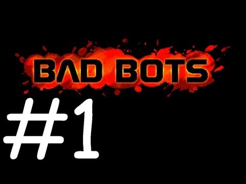 Bad Bots