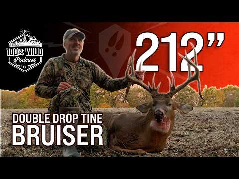 Ho lasciato il lavoro per taggare un cervo maschio da sogno | Podcast 100% Wild Ep. 457