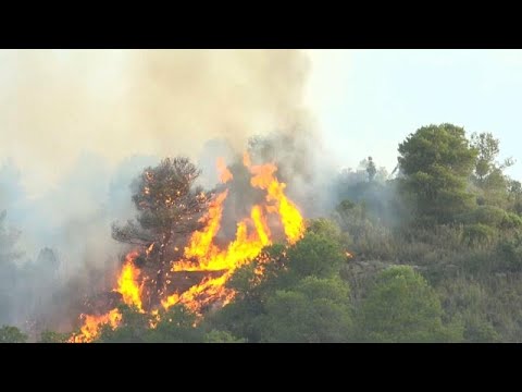 Waldbrand in Spanien außer Kontrolle