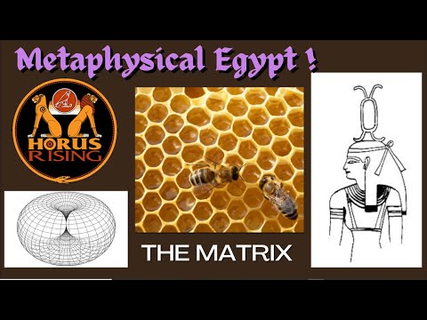 Ancient Egypt Holds the Secrets