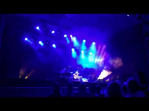 Adrià Puntí - El boulevard dels xiprers