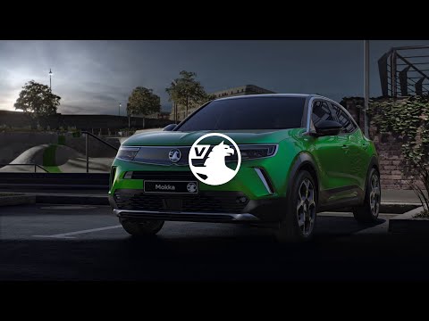 Mokka-e: LED Matrix lights