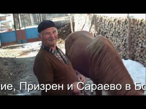 Isa Bektash ot Breznitsa 2012