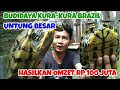 BUDIDAYA KURA KURA BRAZIL CEPAT BERTELUR PEMUDA ASAL SOLO HASILKAN OMZET 100 JUTA DARI KURA KURA