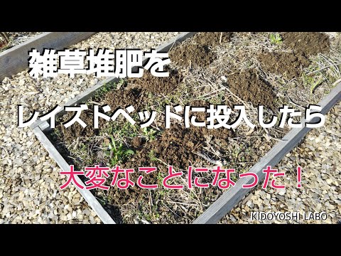 ネズミを堆肥から遠ざけるにはどうすればいいですか？自然で効果的な方法  庭園