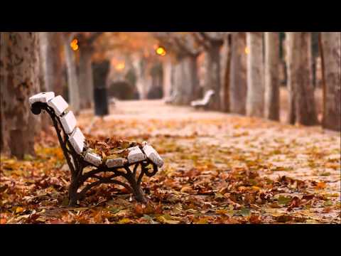 download lagu mp3 mp4 Bliss So Still Lyrics, download lagu Bliss So Still Lyrics gratis, unduh video klip Bliss So Still Lyrics