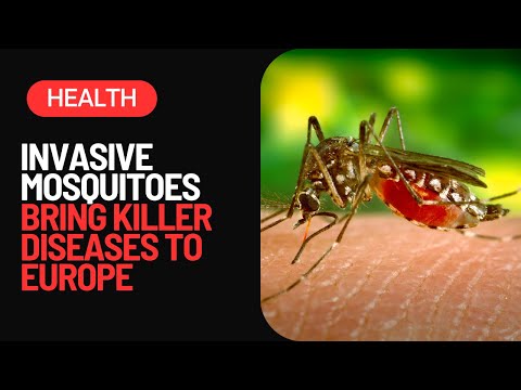 The Threat of Malaria Resurgence in Europe: What You Need to Know