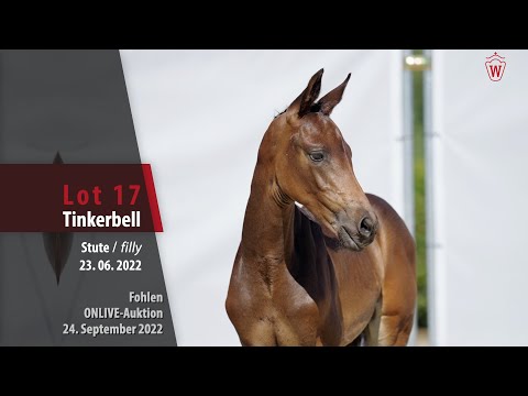 ONLIVE-Auktion Lot 17 Tinkerbell Stute v. Total Diamond PS - Finest