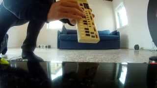 Bottin - Plastic Forgery