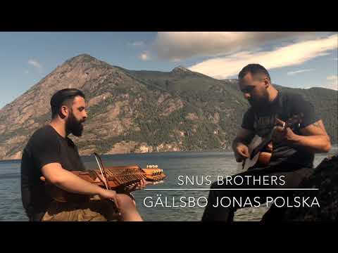 Snus Brothers - Gällsbo Jonas Polska (swedish folk music)