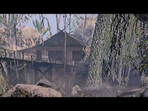 Qoitoro Tarinoiden Aito Sankari Sotilas Kuolematon Varmasti