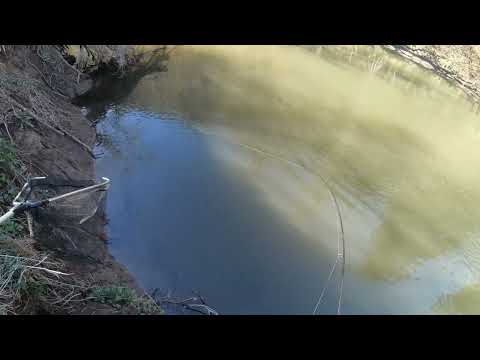 Dieser kleiner Wobbler von ALLBLUE TIDE MINNOW 75 fängt Hechte nach der Schonzeit