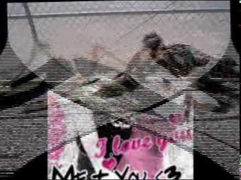 Teaarafy (Tamer.Hosny)