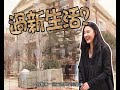 张柏芝晒7000万北京豪宅内景，三胎儿子的婴儿车亮了