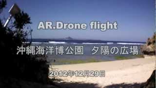 preview picture of video '[HD] AR.DRONE FLIGHT AT 夕陽の広場／沖縄海洋博公園'