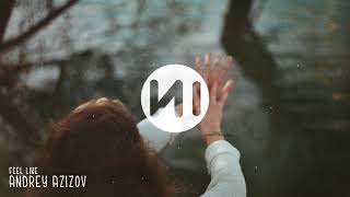 Andrey Azizov - Feel Like (feat. Chloe Gendrow)