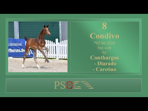 08 Condivo ENG by Conthargos - Diarado - Caretino