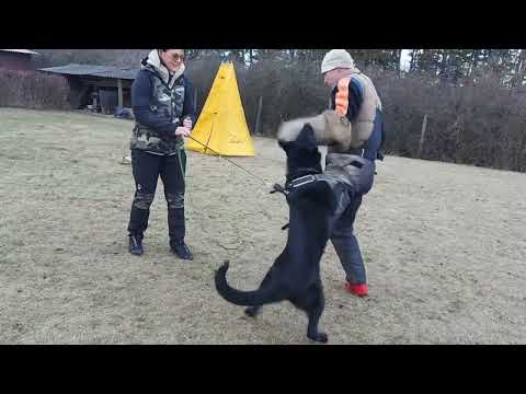 Nicky Orrylordblack -Protection 2/22