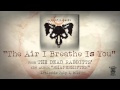 THE DEAD RABBITTS - The Air I Breathe Is You ...