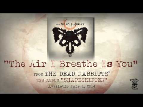 THE DEAD RABBITTS - The Air I Breathe Is You (Official Stream)