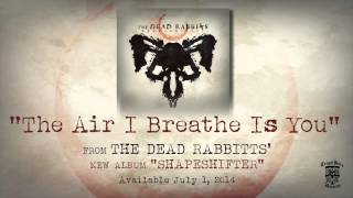THE DEAD RABBITTS - The Air I Breathe Is You (Official Stream)