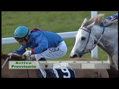 2019-12-15 Corsa 4 Metri 1800 Premio Confederazione internazionale dell'Anglo-Arabo