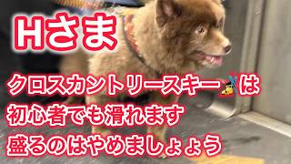 Hさま　クロスカントリースキーは初心者でも滑れます　盛るのはやめましょう