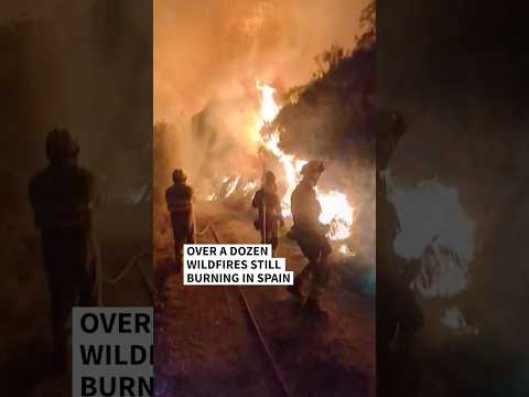 Video Thumbnail: Over a dozen wildfires still burning in Spain | AFP