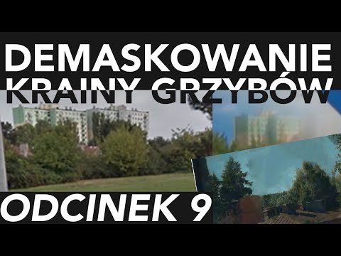 Demaskowanie Krainy Grzybów Odcinek 9 : Halo, tu Agatka