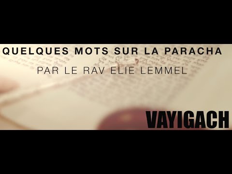 Quand un chien attaque ! Rav Elie Lemmel - Paracha Vayigach