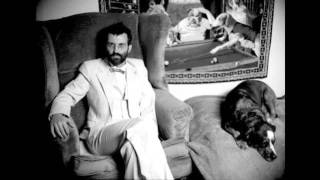 Eels - Can&#39;t Help Falling in Love