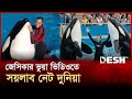 ডলফিন গিলে খাচ্ছে জেসিকাকে ভুয়া ভিড�