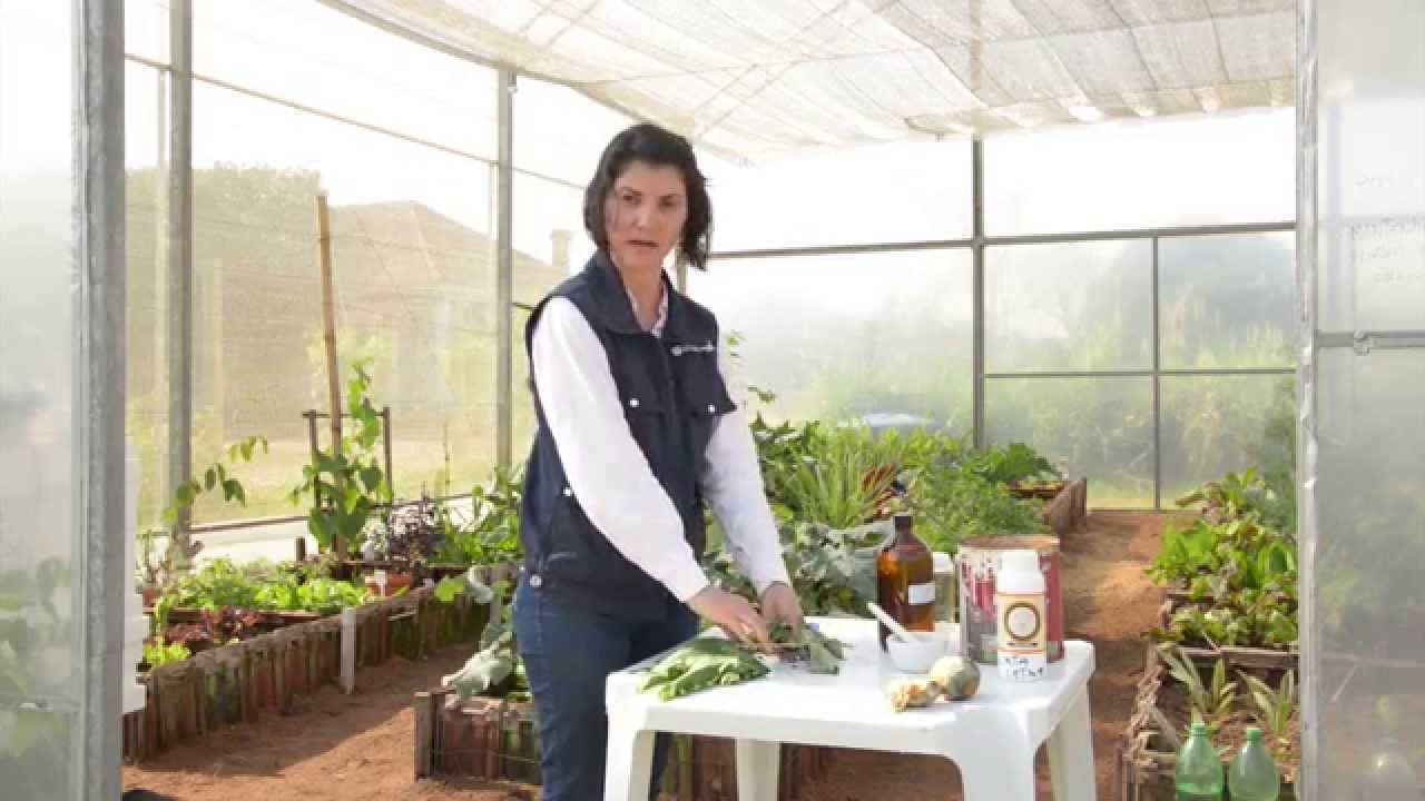 Emater responde - Controle da formiga cortadeira - Programa Rio Grande Rural