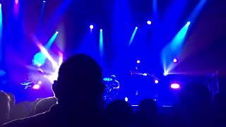 Private visions of the world-animals as leaders