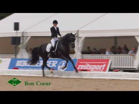 Bon Coeur - Gestüt W.M. 2017