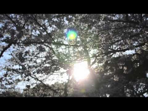 LEMS feat. Daichi Diez - What Does It Take