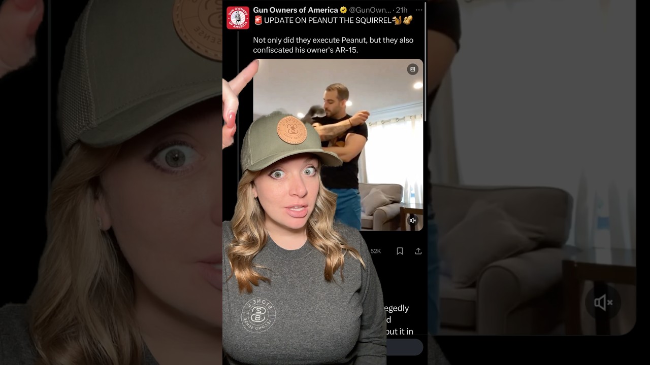Just Keeps Getting Worse?!? Peanut The Squirrel… #2ndamendment #shortsvideo #shortsfeed #shorts