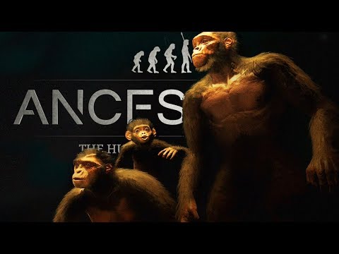 OUR APES HAVE EVOLVED! | Ancestors: The Humankind Odyssey Gameplay Part 4