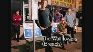 The Wallflowers - I've Been Delivered