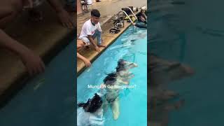 Download lagu berenang bareng tik tok/ fael/ cupita mp3 Download lagu berenang bareng tik tok/ fael/ cupita mp3