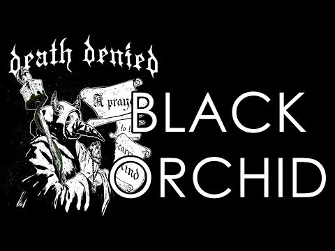 Death Denied - Black Orchid (OFFICIAL TRACK)