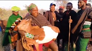 Download lagu NDAMA JIGUSHILAGA NG'OMBE JANE 24, 2025 mp3 Download lagu NDAMA JIGUSHILAGA NG'OMBE JANE 24, 2025 mp3