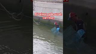 Download lagu di taiwan gak susah cari ikan#shorts#ikanditaiwan#tkitaiwan @imansulaeman89 mp3 Download lagu di taiwan gak susah cari ikan#shorts#ikanditaiwan#tkitaiwan @imansulaeman89 mp3