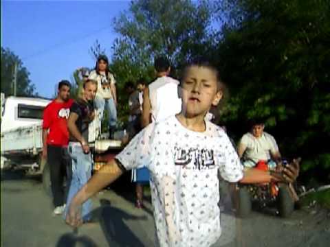 les herisson du bitume